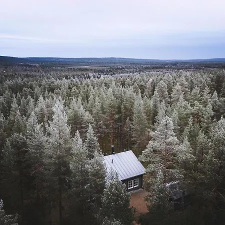 North - Sinlevi * Levi